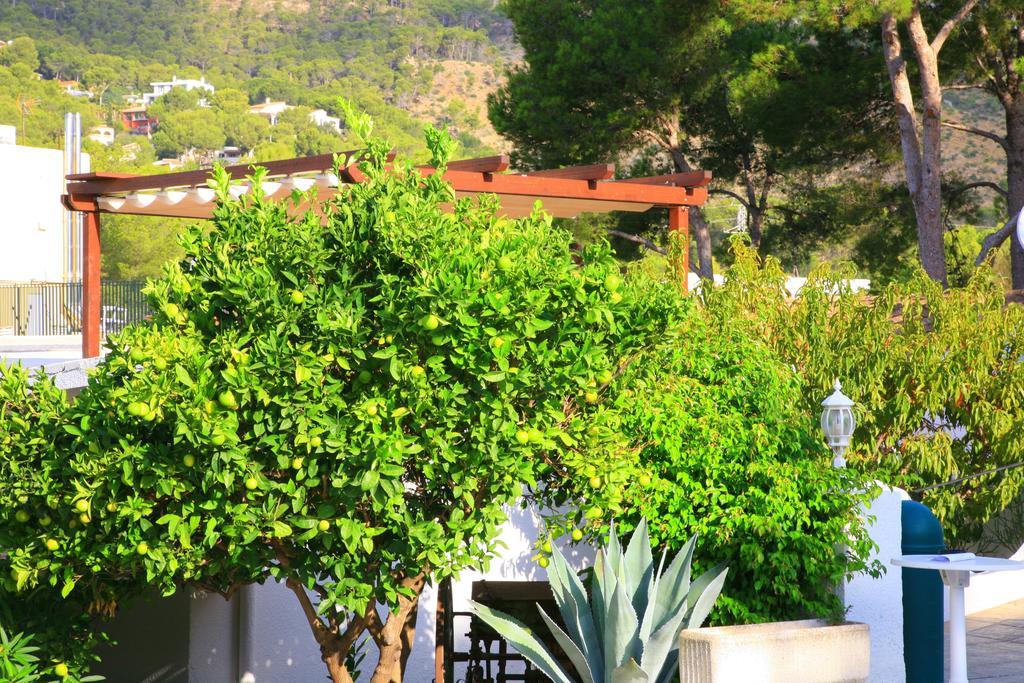 Villa Columbus Family Boutique Hotel Paguera Kültér fotó
