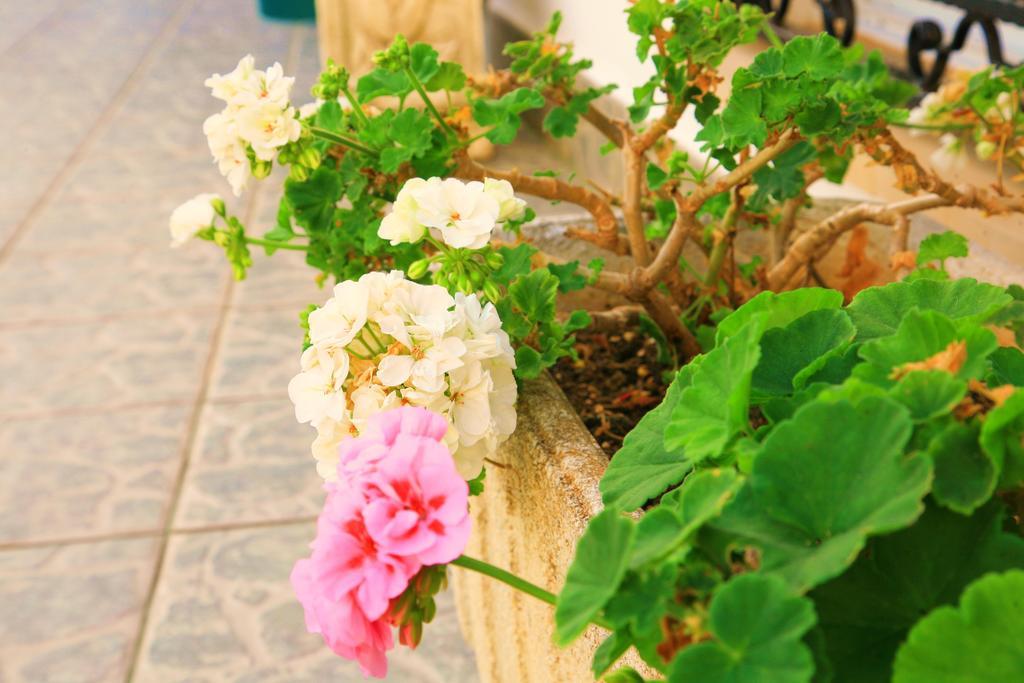 Villa Columbus Family Boutique Hotel Paguera Kültér fotó